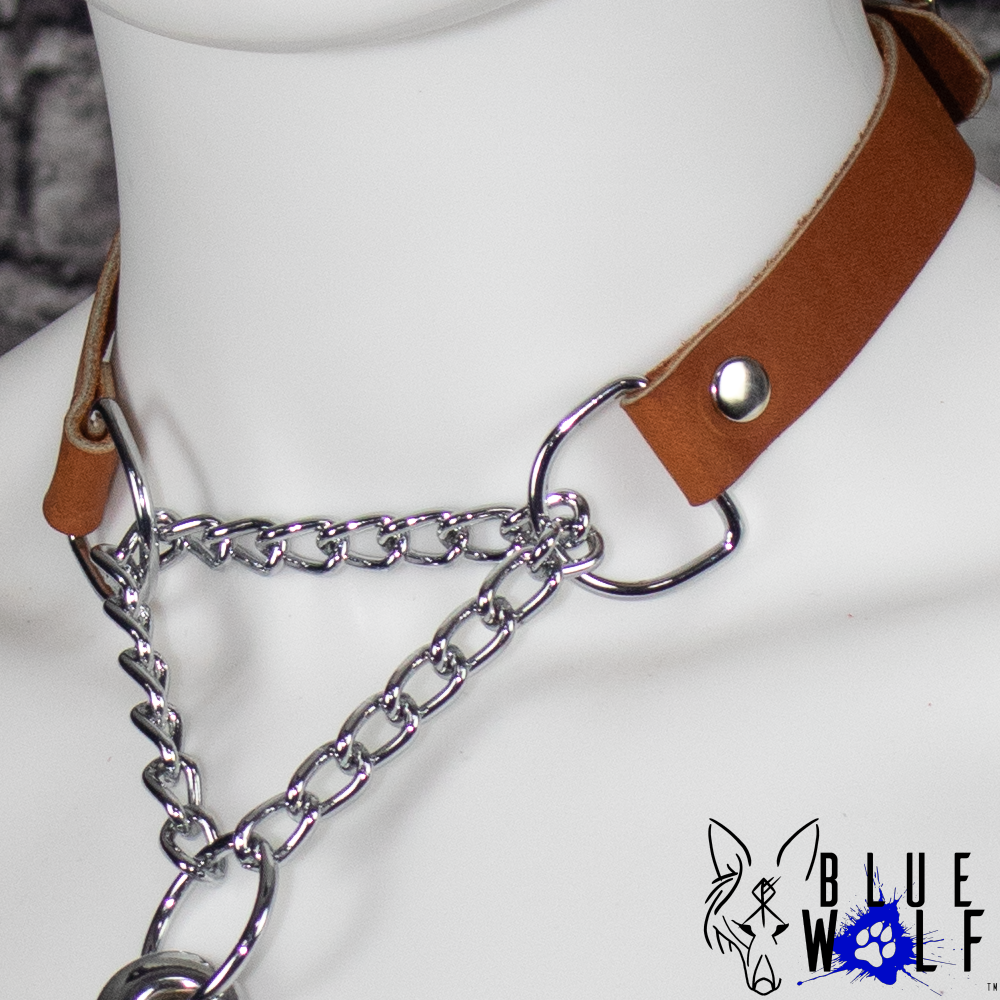 Martingale Collar image