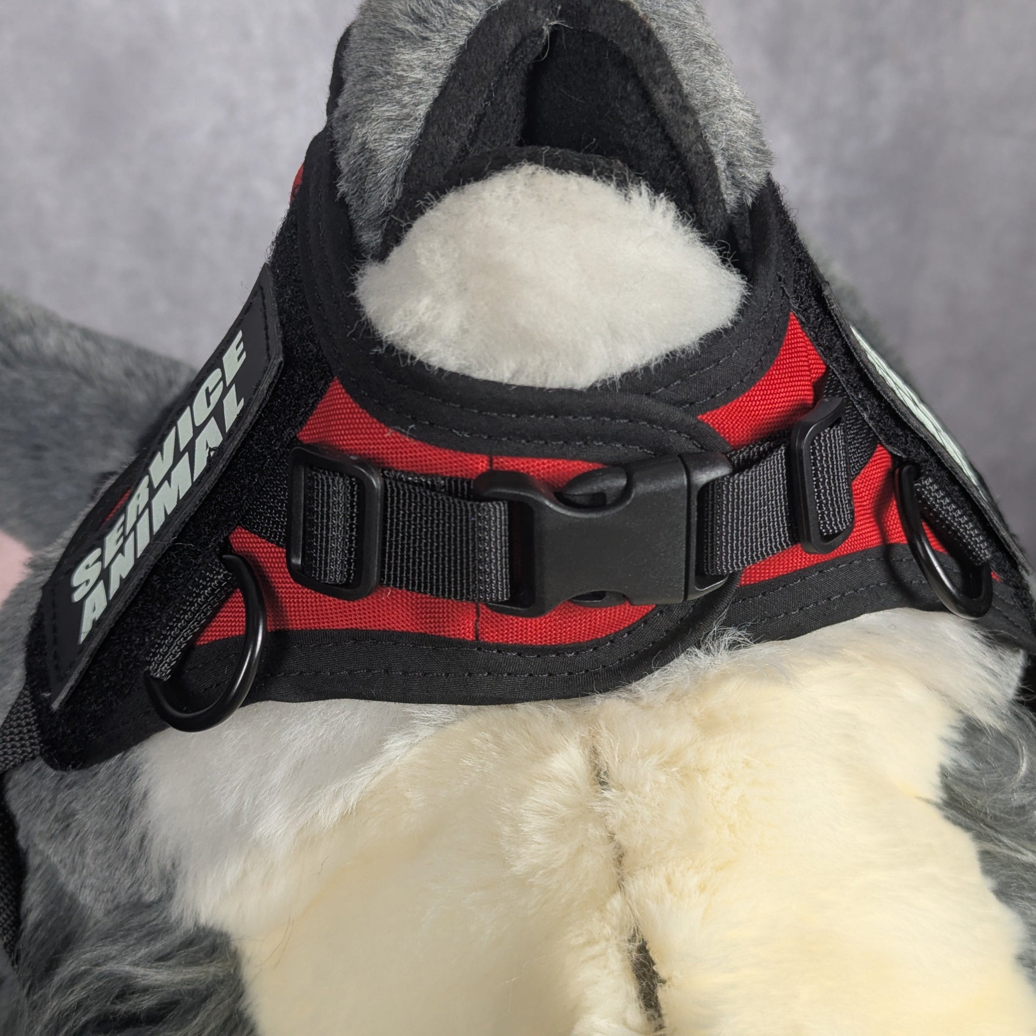 Service Animal Muzzle - Made to Order